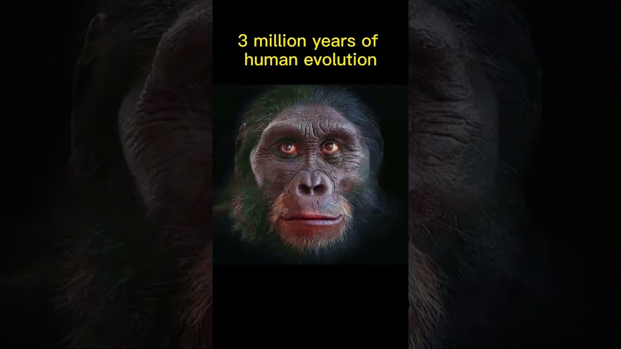 Evolution Of Human #shorts #viral #evolution #foryou #reels #spiderman #short #viralshorts