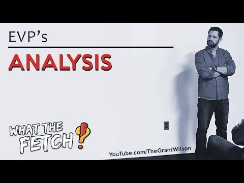 EVP's: Analysis