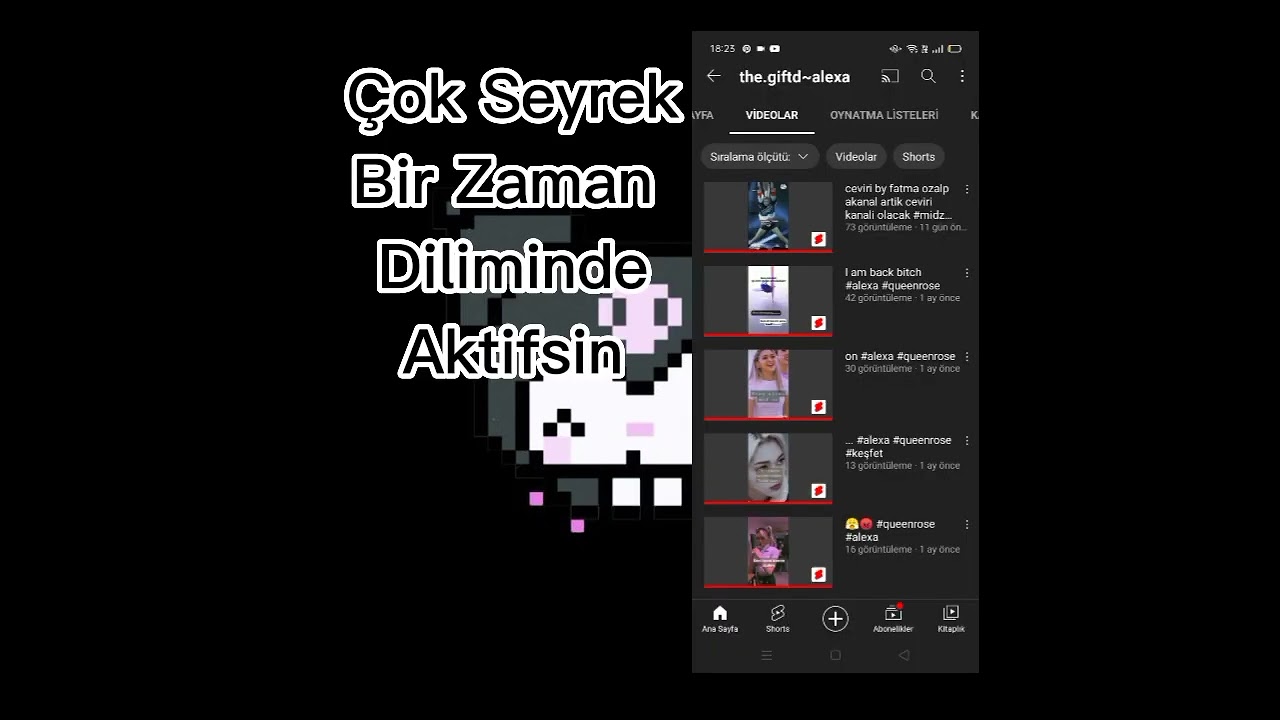 ewt Liseli Ablamiz
