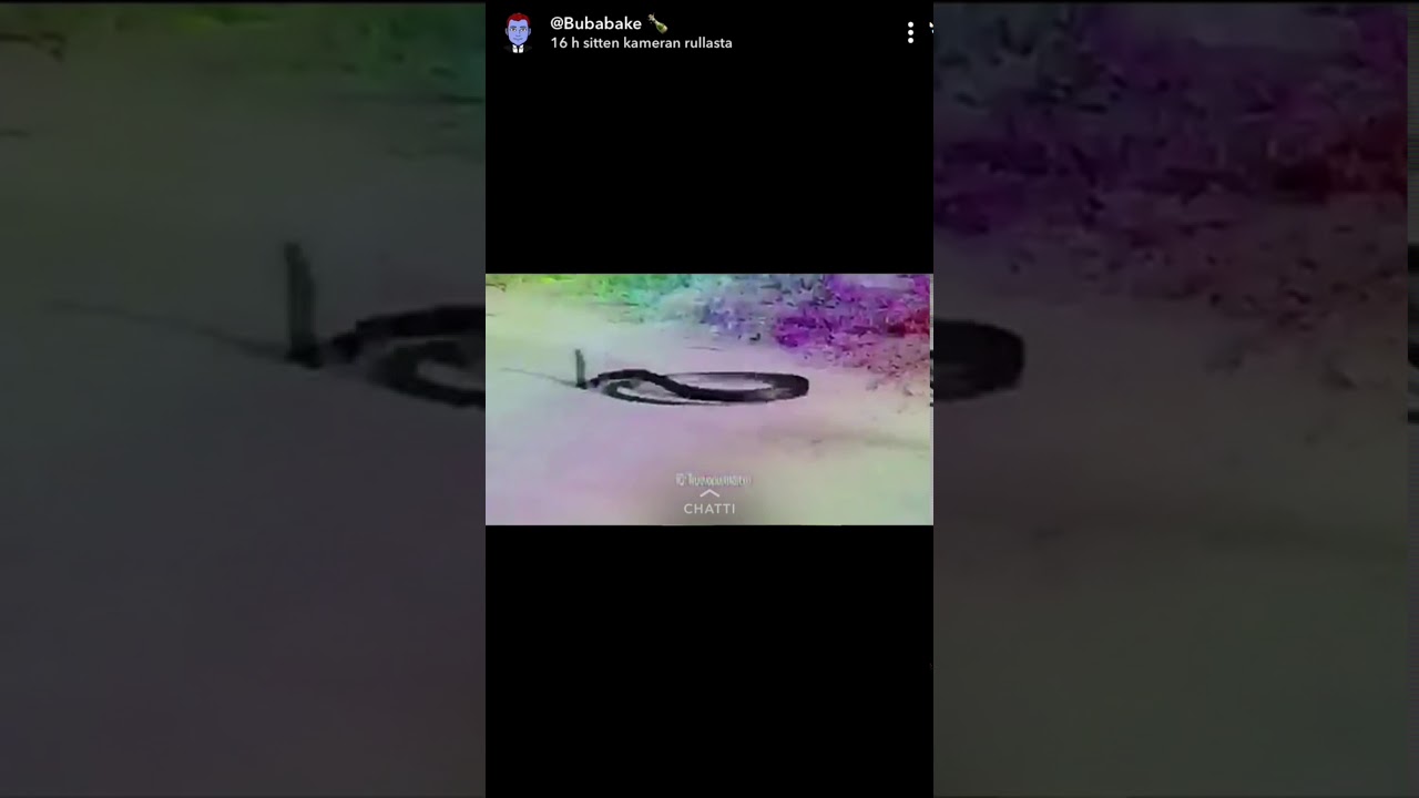 Extreme 1 kill=1strip 20 kilö game (naked)