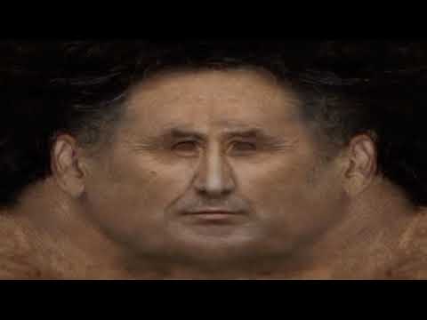 Fake G-Toilet communication sounds