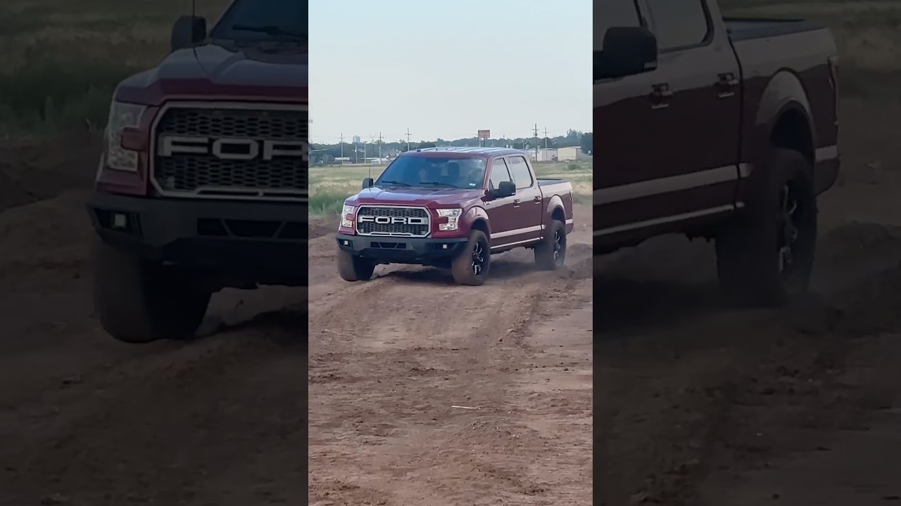 Fake Raptor?