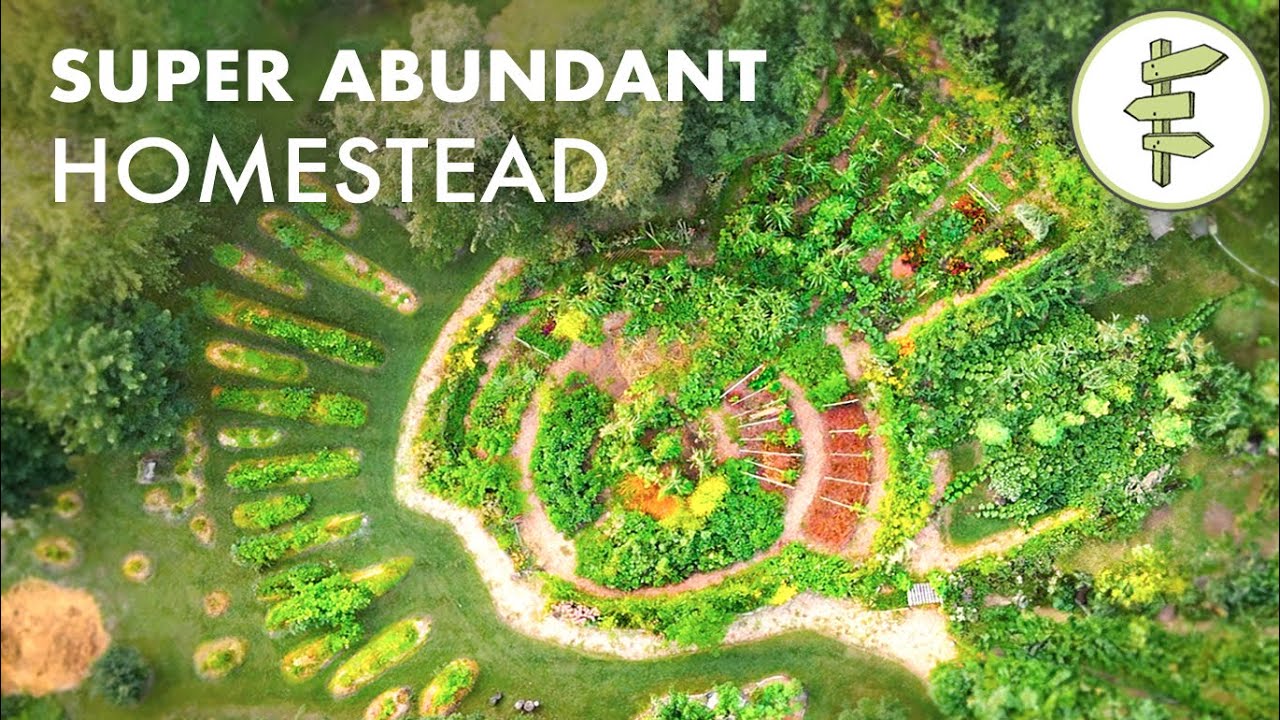 Family Growing 90% of Their Food on an Impressive Permaculture Homestead