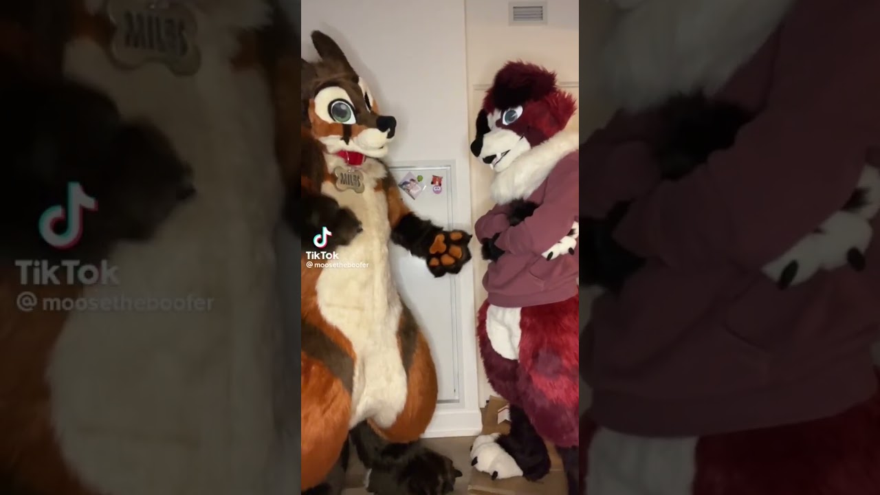 Fatherless Furries ? #furry #furries #furrys #furryfandom #furrytrash #furrycringe #fursona #fursuit