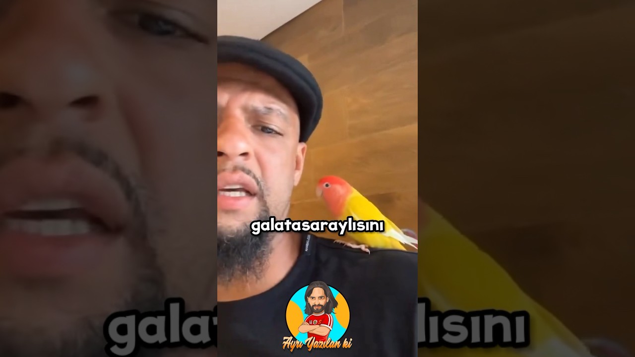 Felipe Melo’nun Galatasaraylı Kuşu 😳 #galatasaray