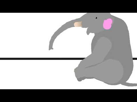 Female Elephant Butt Crush
