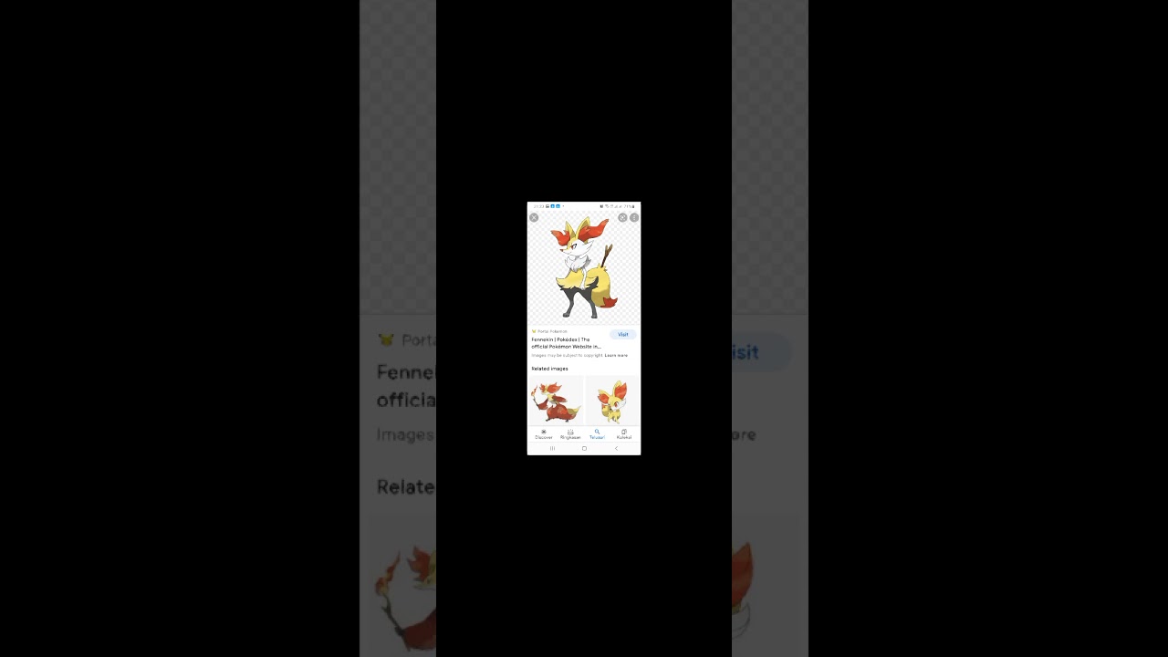 fennekin+braixen+delphox pokemon