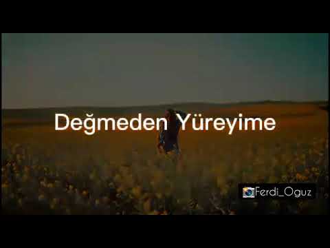 Ferdi Oğuz-söyle cover status üçün video