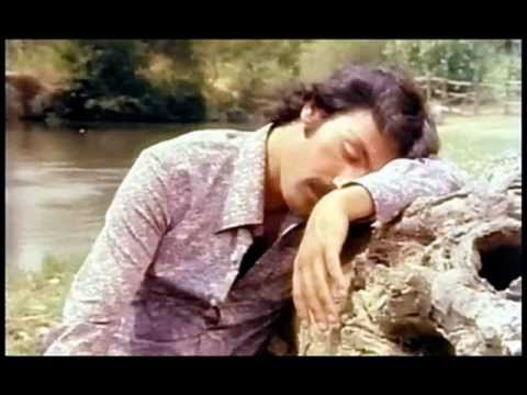 Ferdi Tayfur - Ölsem de Bir Kalsam da
