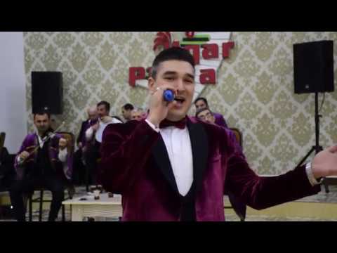 Ferid Haciyev-Popuri