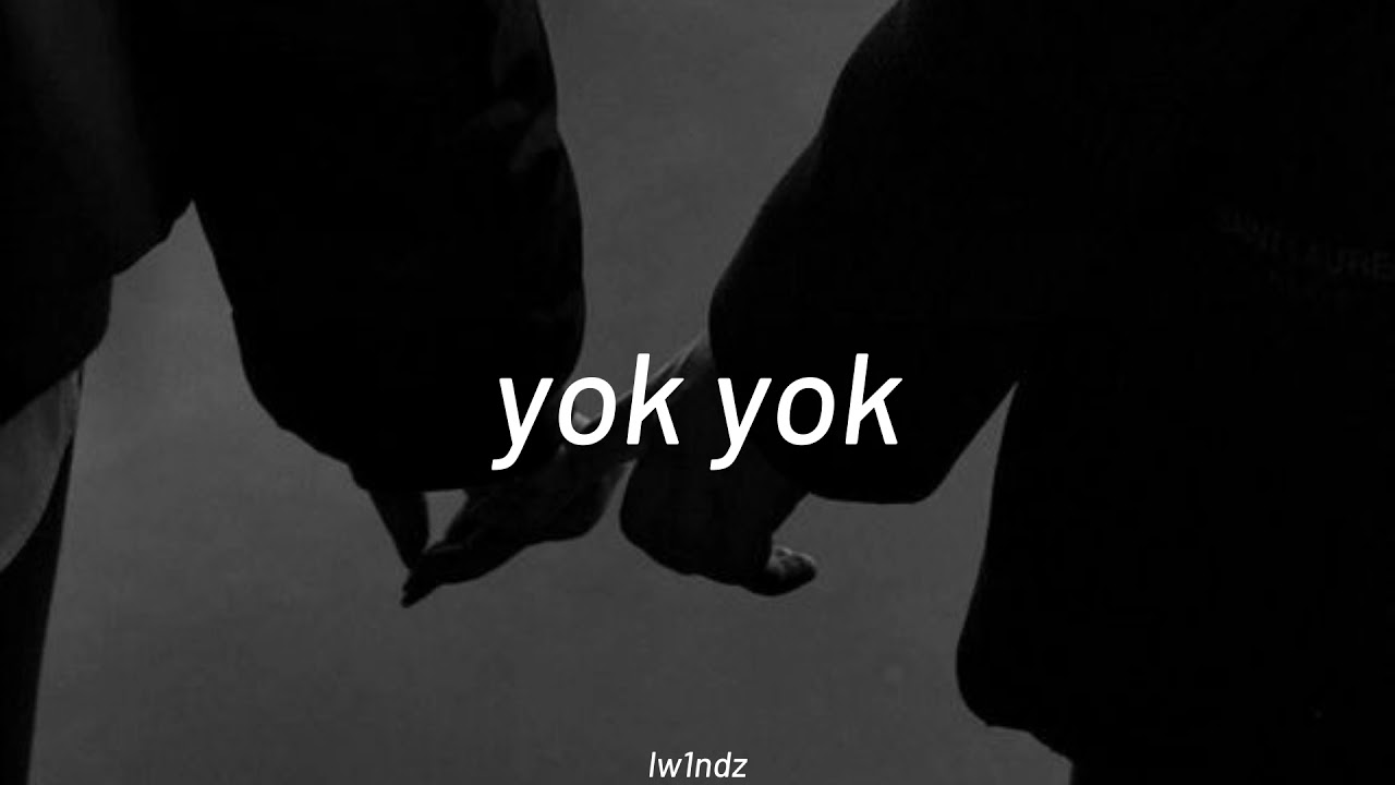 Feride Hilal Akın - Yok Yok ( slowed + reverb )