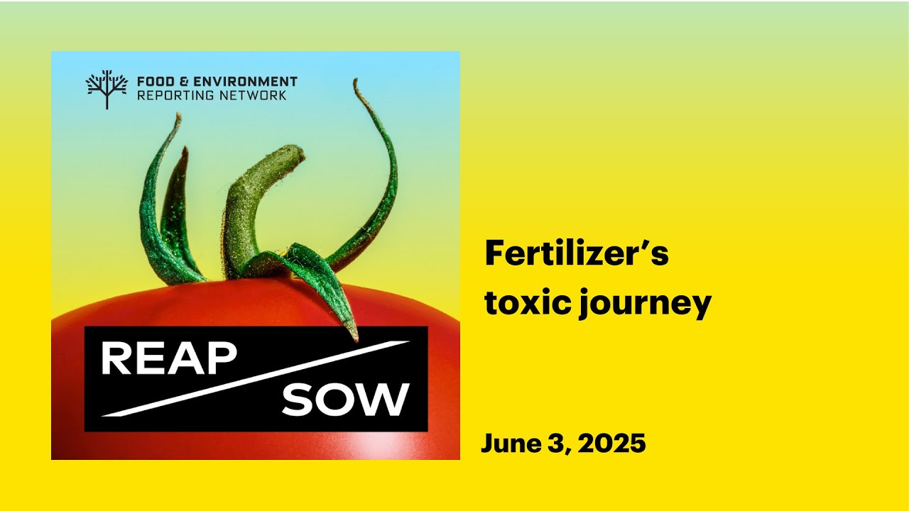 Fertilizer's toxic journey