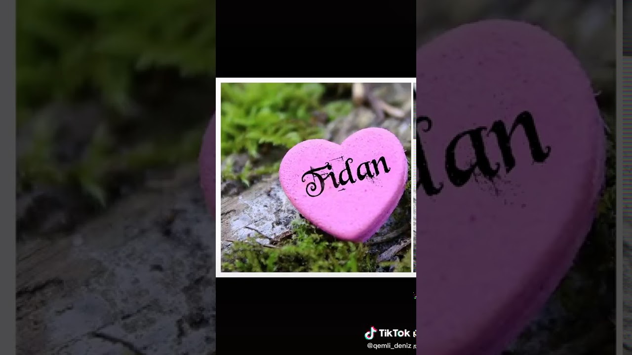 Fidan adina video