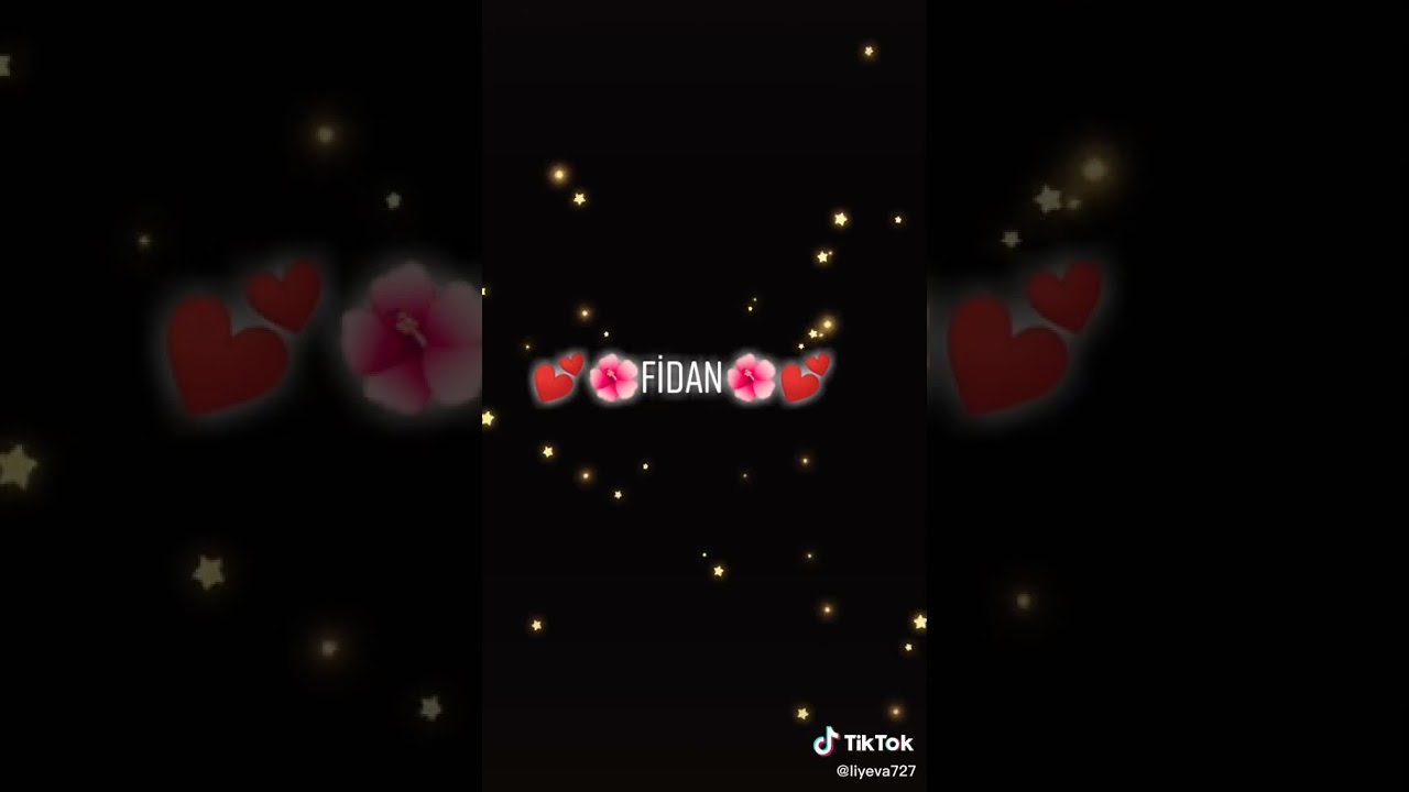 Fidan Adina Video