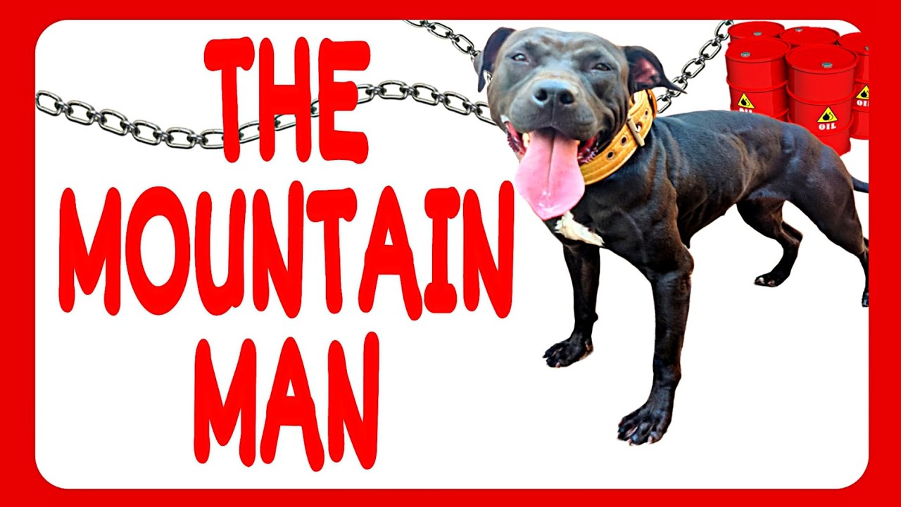 Fighting Dog Breeder - Sir HUGHES - THE MOUNTAIN MAN - #pitbull #dogfight #apbt