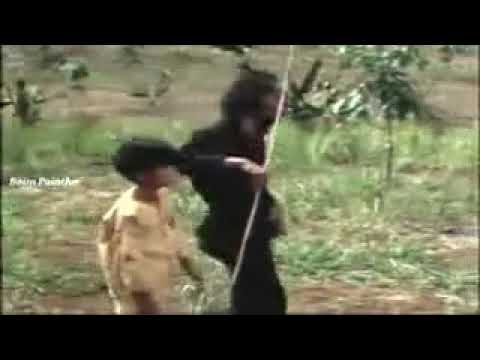 Film jadul Pukulan Jurus putih PX FULL