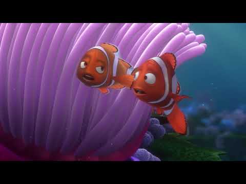 Finding Nemo - 