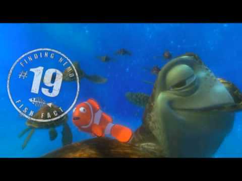 Finding Nemo - Crush