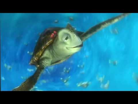 Finding Nemo Tribute