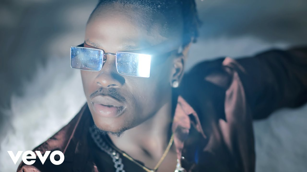 Fireboy DML - Playboy (Official Video)