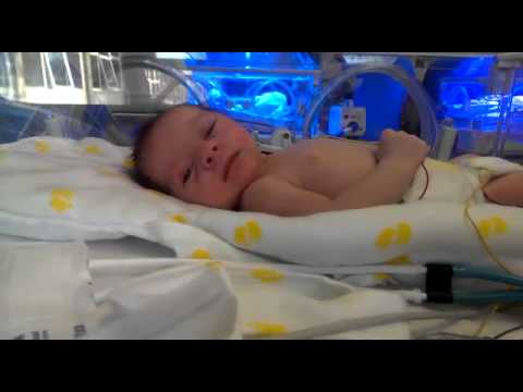First video of Ceyda