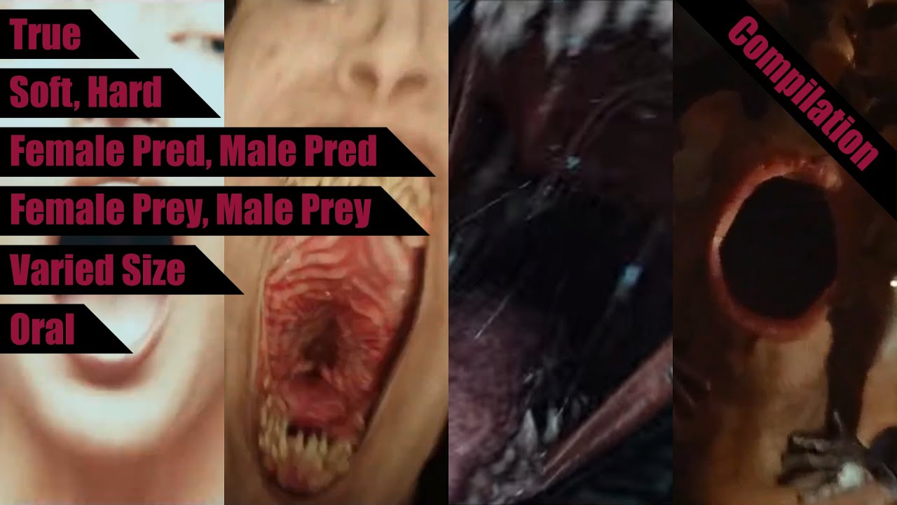 First-Person Vore | Compilation