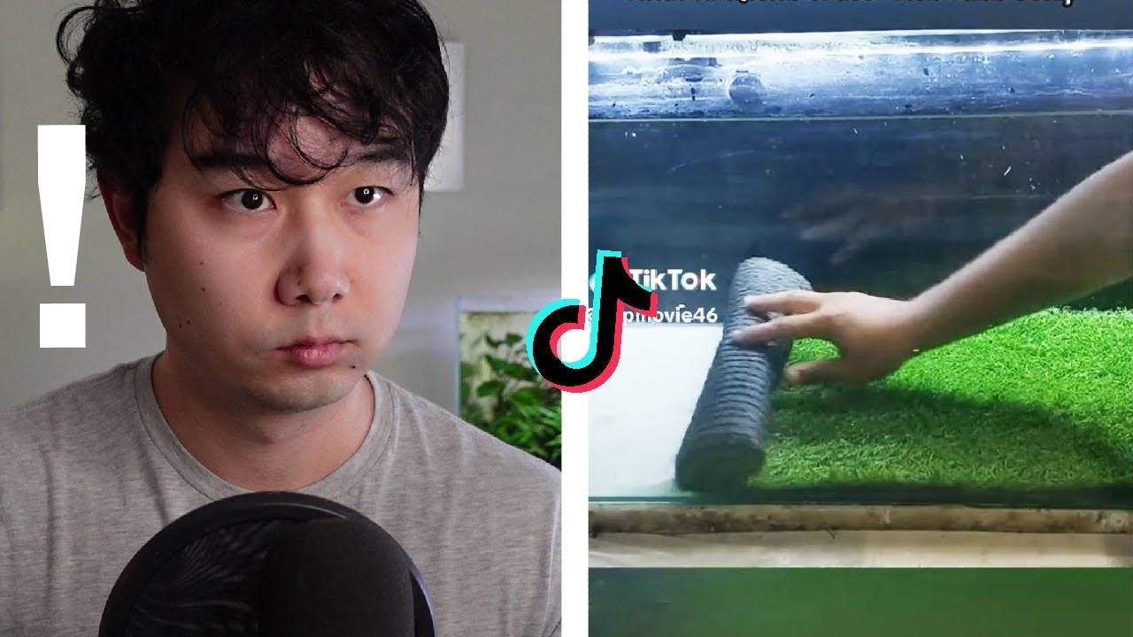 FISH 👏 TANK 👏 REVIEW 👏 2024 REWIND