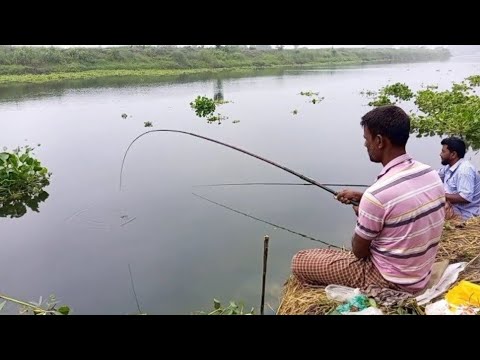 Fishing ✅ Hook Fishing Videos 🎣  Fishing videos ✅✅ Fishing Bd #fishing #hook #fish #fishingvideo