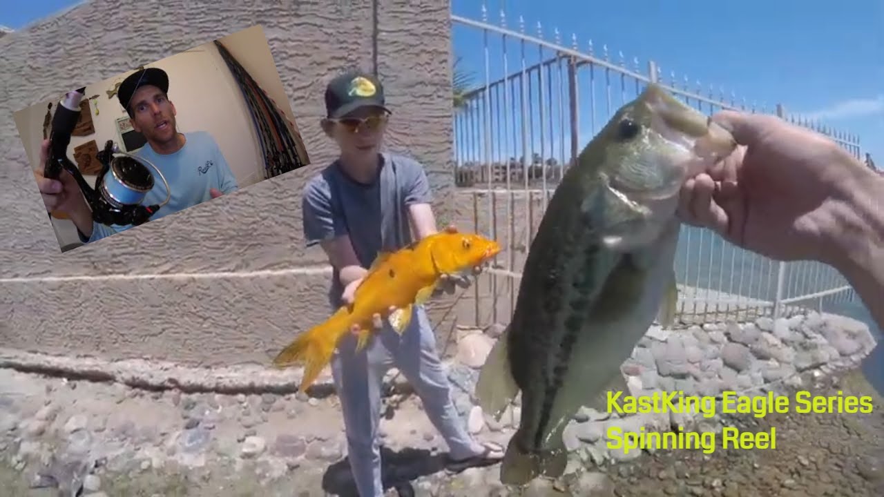 Fishing Reel Opinions + DEMO KastKing Valiant Eagle Spinning Reel