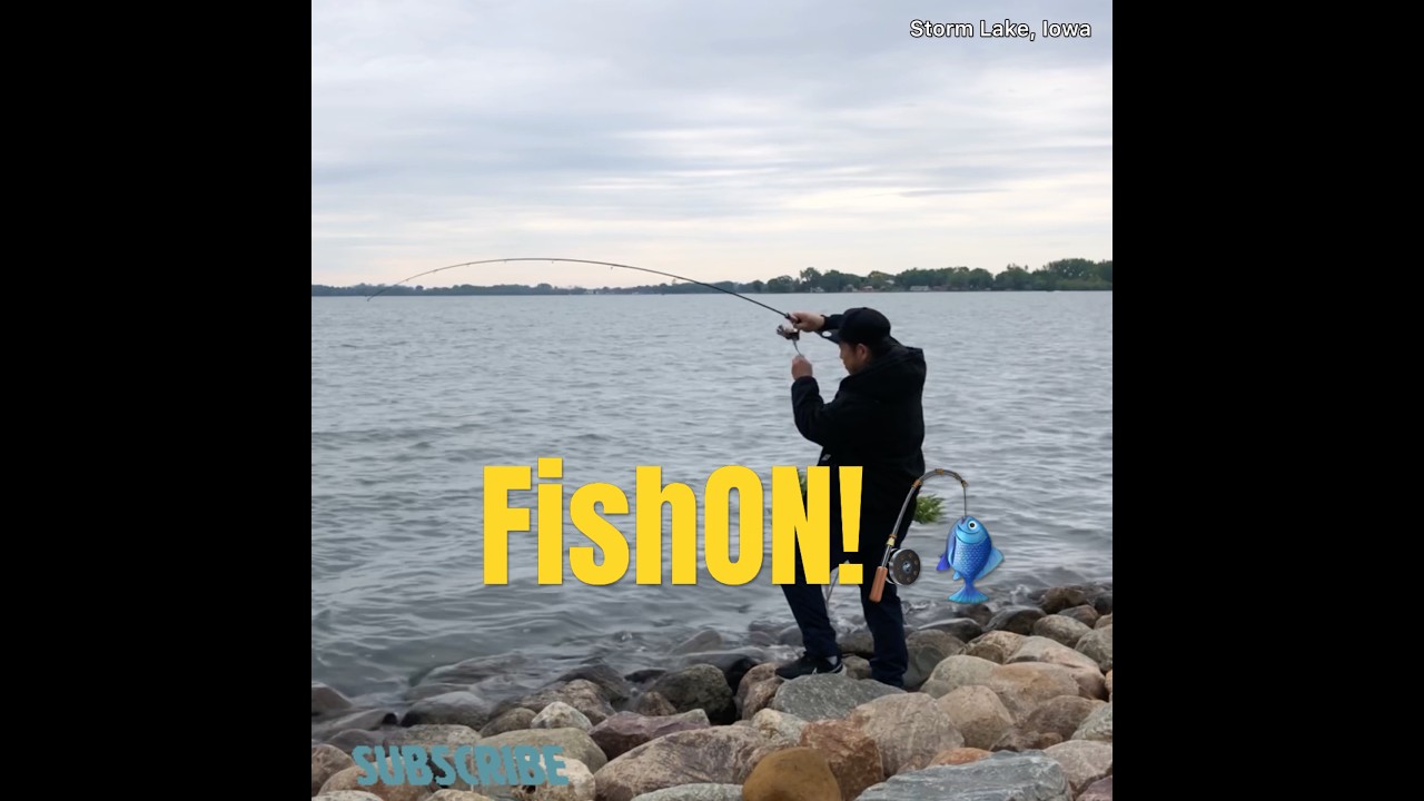 FishON!🎣 #shorts #fish #fishing #bassfishing #fishingvideo #catchandrelease #bass #fishinglife