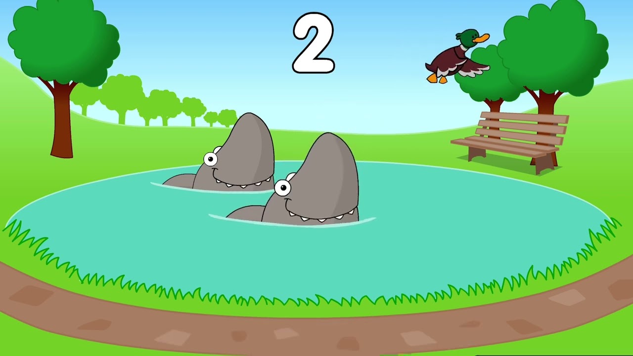 Five sharks swimming in the pond