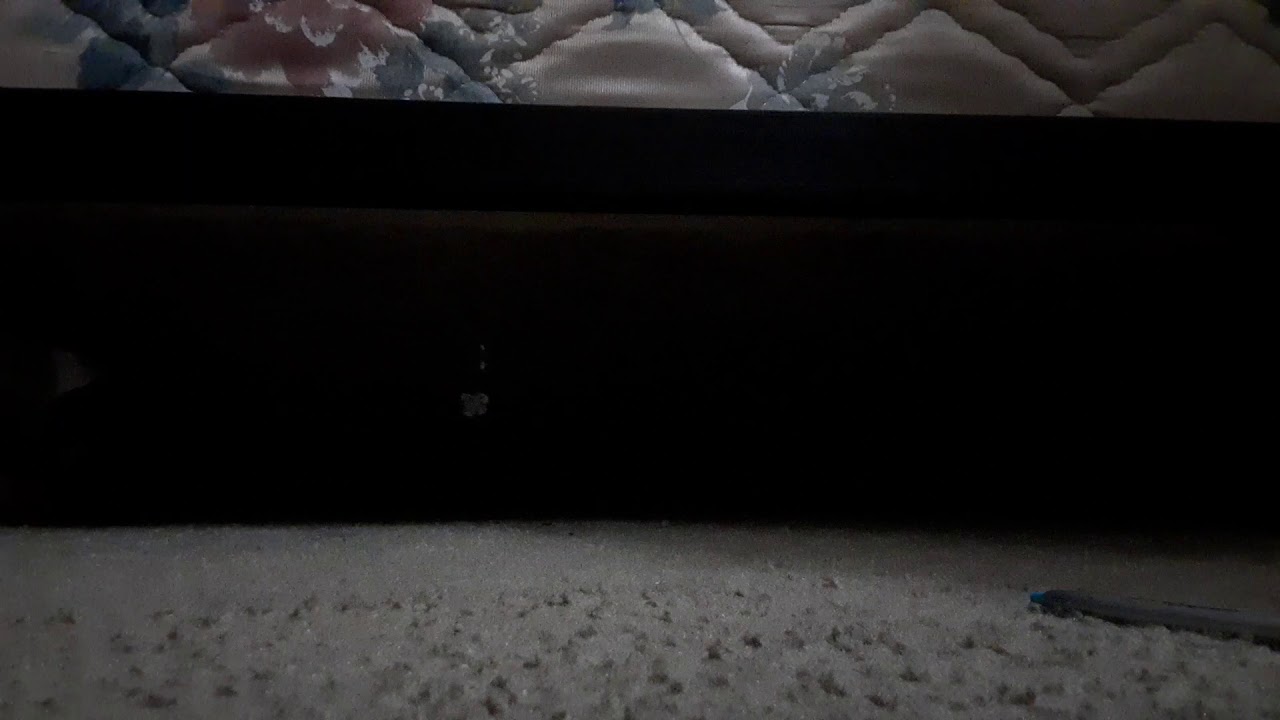 Flip flops crush