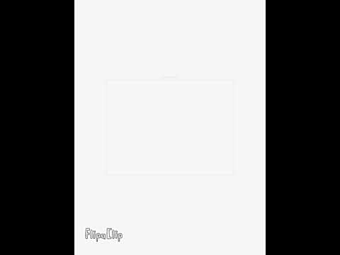 FlipaClip Splash Contest