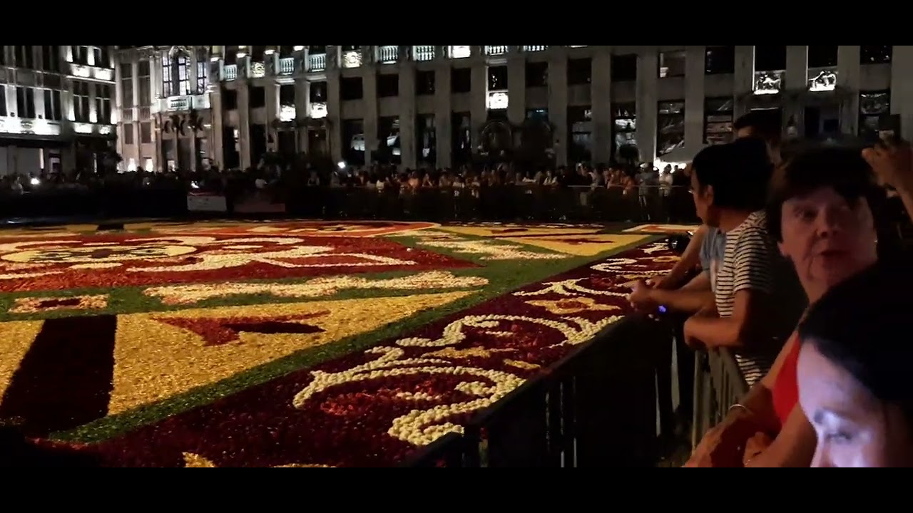 flowers day in Brussels 🇧🇪