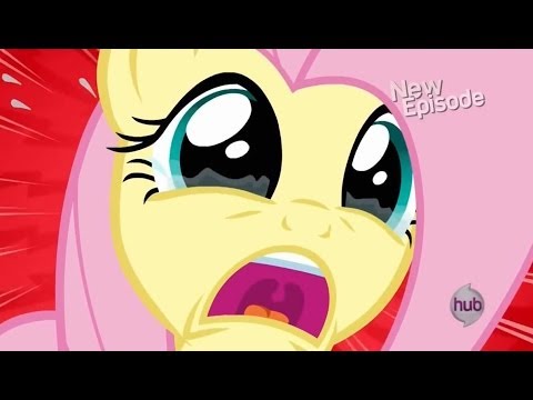 Fluttershy - Angel NOOOOOOO