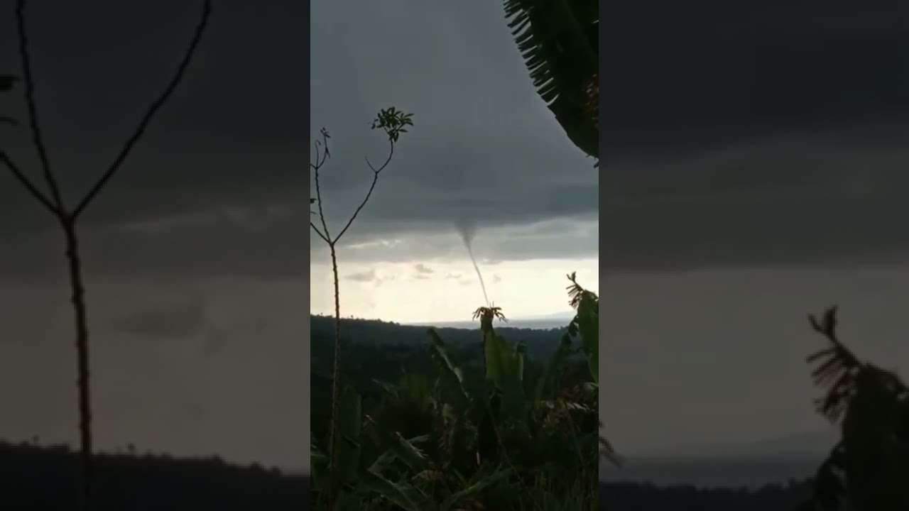 FOKUS VIDEO❎ FOKUS SUARA☑️ Janji gak Ahh 😌