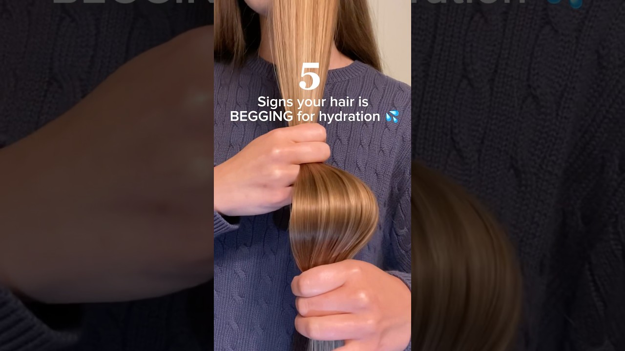 Follow for tips on preventing dry & damaged hair ✅  #haircare