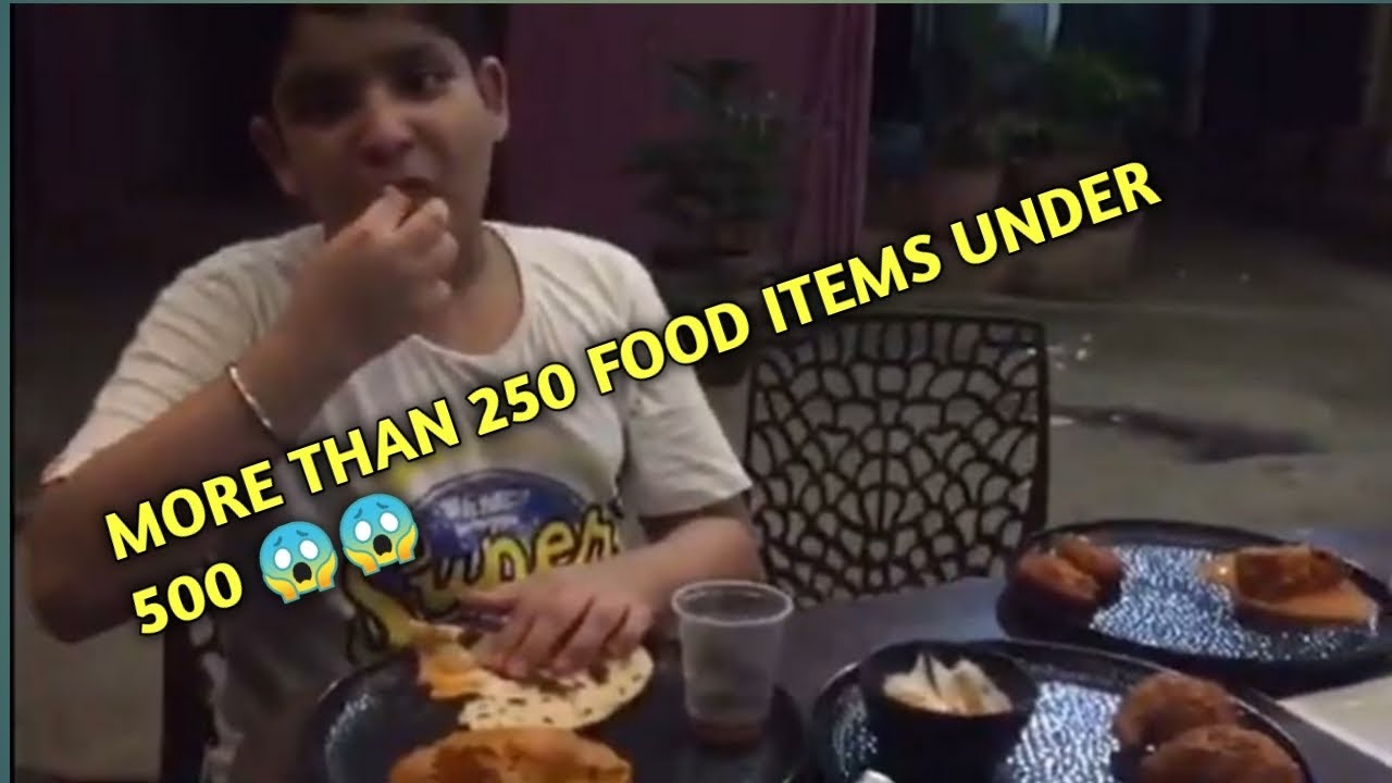 “FOOD AMBASSADORS” OF DELHI MORE THAN 250 FOOD ITEMS UNDER 500 😱😱 | HARMAN VLOGS |