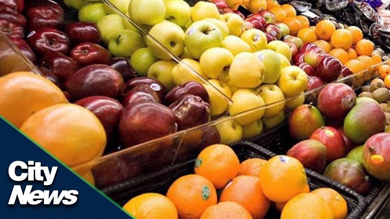 Ford defends ODSP as MPPs begin 'social assistance diet'