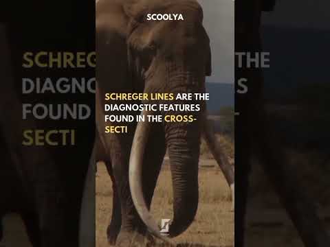 Forensic Fact - Part 15 | Forensic Science | Wildlife Forensic #wildlifeforensic #Forensic #shorts