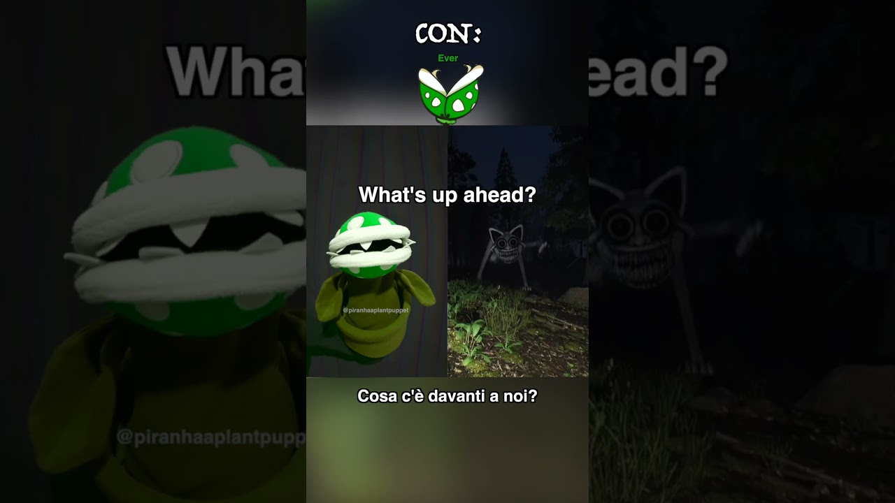 foresta maledetta ⚠️