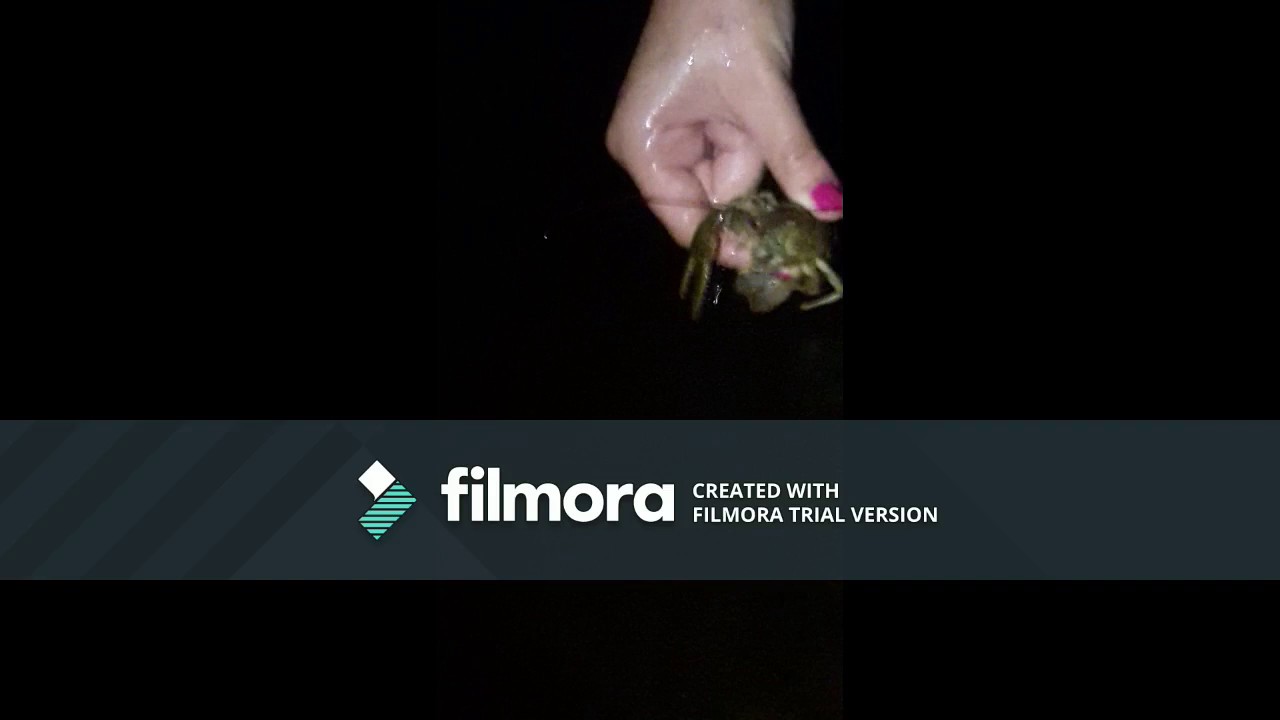 Freak of nature crawdad!!!!!