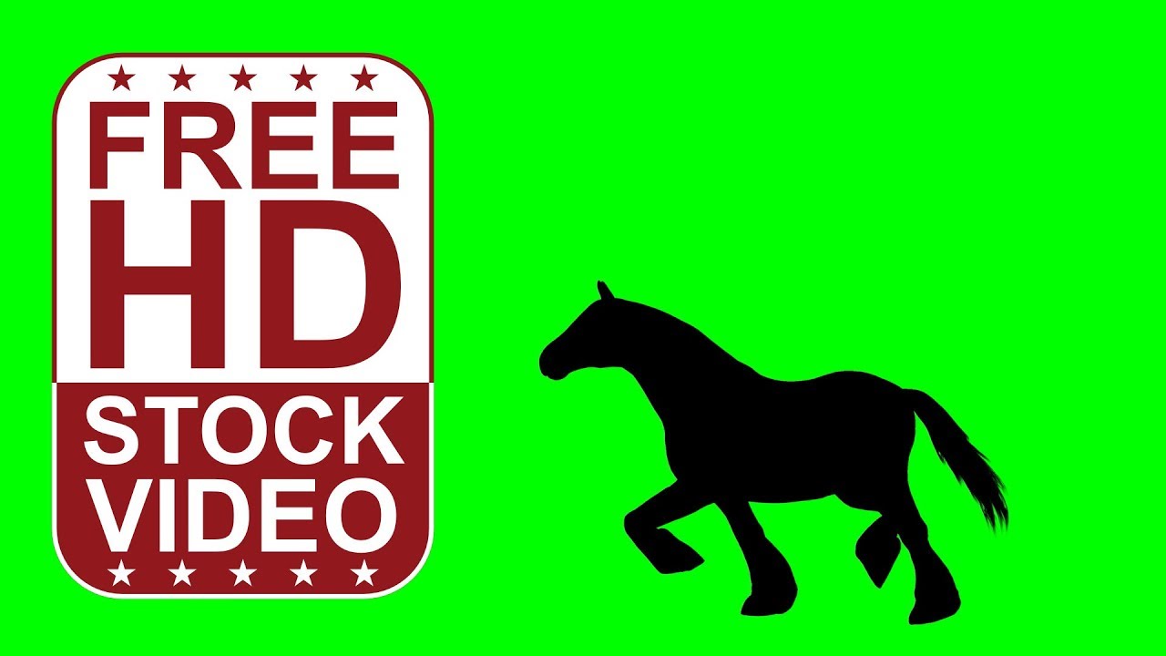 Free Stock Videos – farm horse silhouette walking, galloping on green screen