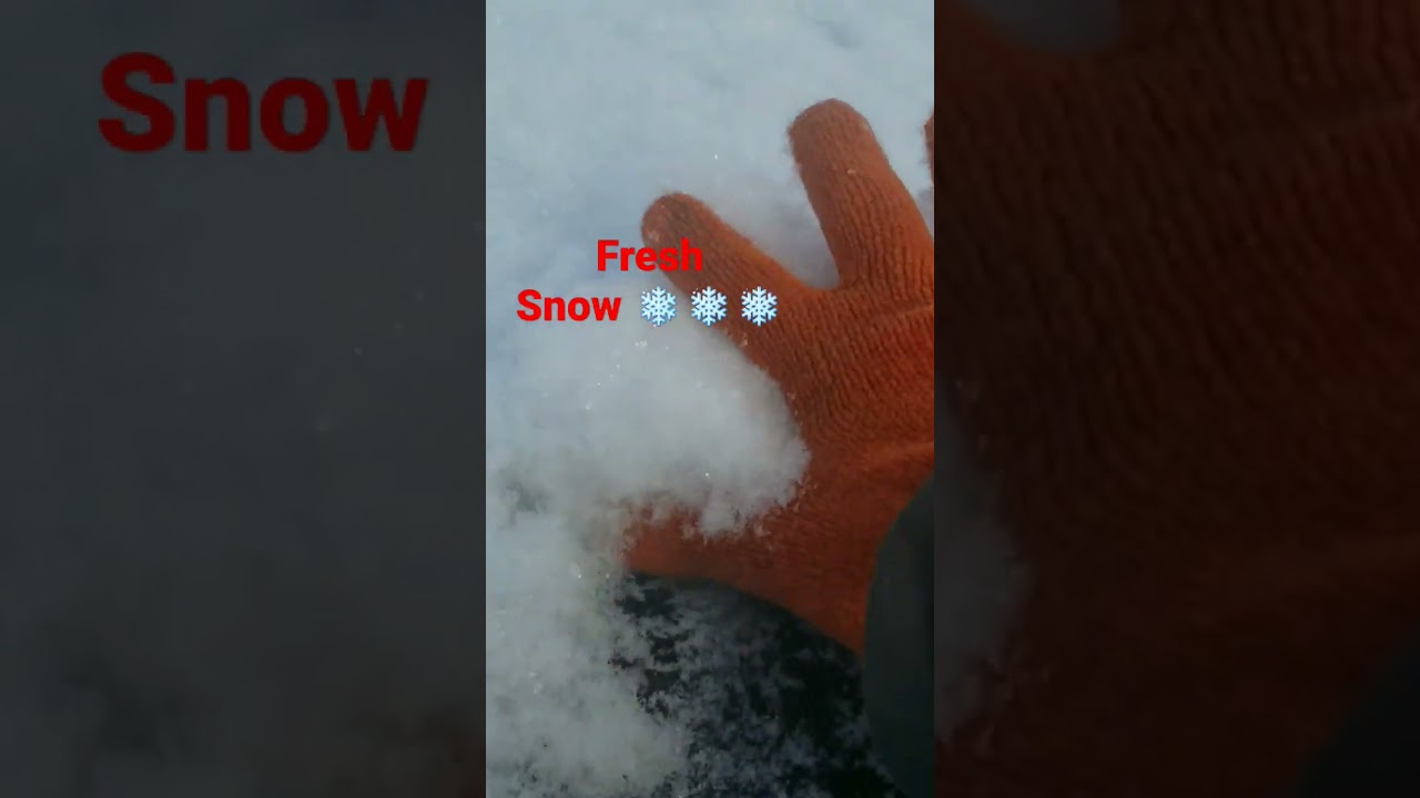 Fresh snow #asmr #beauty #nature #satisfying #winter #color #beauty #life #amazing #shorts