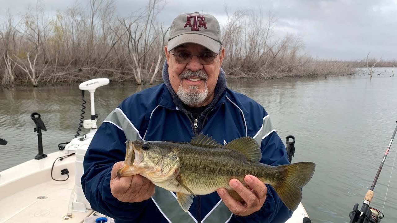Frio River Black Bass: January 19th, 2021