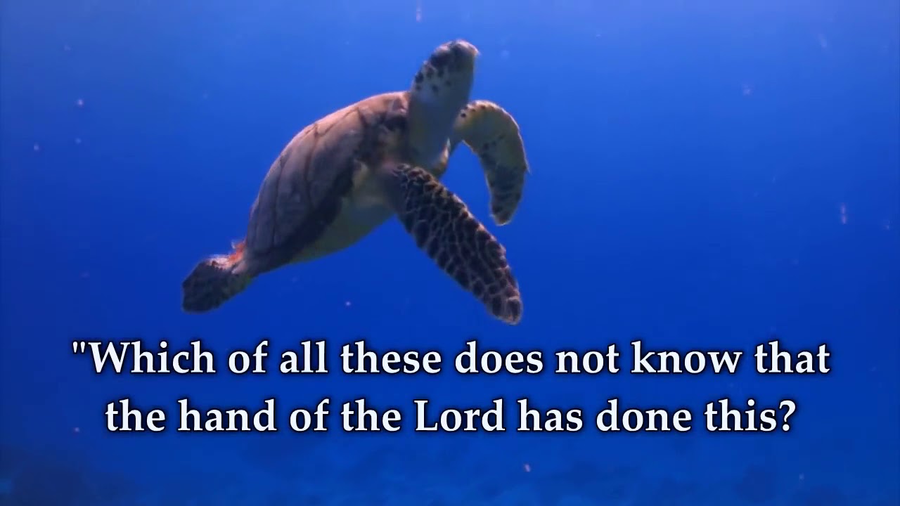 From Nothing Praise and Worship Music