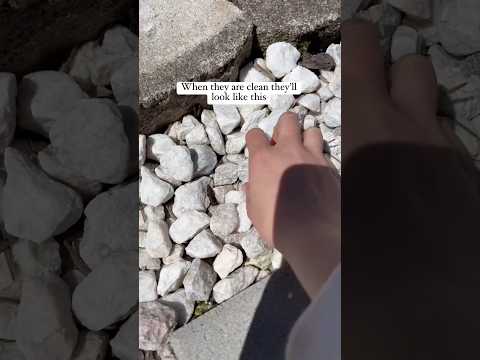 Front Yard Makeover-Uncovering our tree #yardwork #landscaping #tree #rocks #blocks #pool #diy