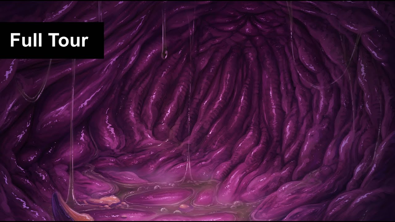 Full Tour Vore Audio (Stomach Growling ASMR, Intestine Ambience, Burps)