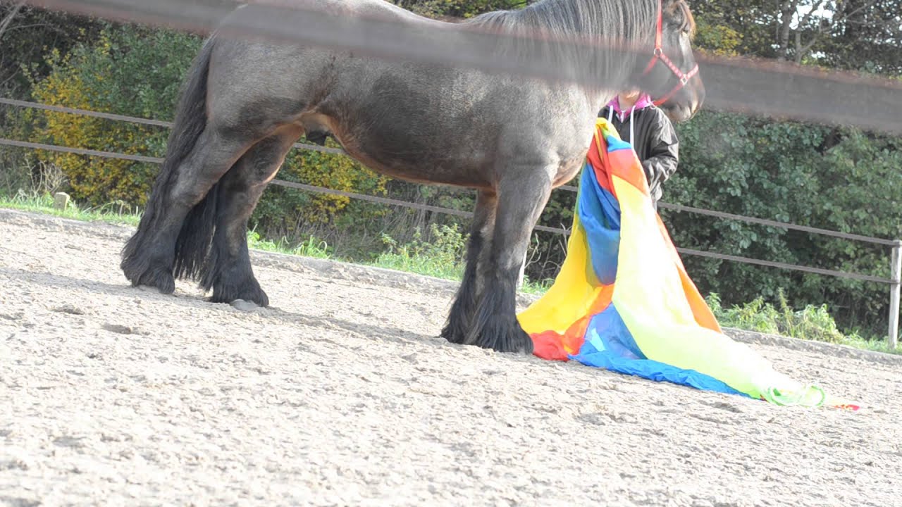 fun with boudewijn... the parachute