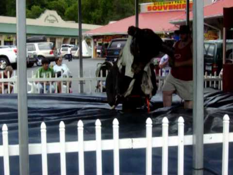 Funny Bull Riding!!! ( CRACK ATTACK)